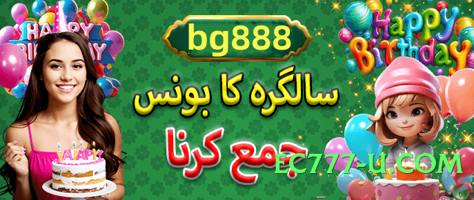 pk11 2025 Screenshot 4